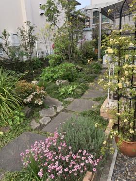 20260421mygarden1.jpg