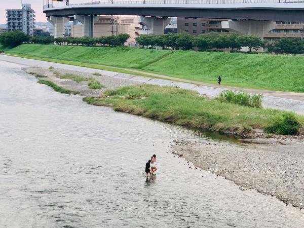 20260715kamogawa.jpg