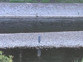 20260717walking10.jpg