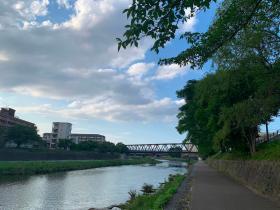 20260717walking2.jpg