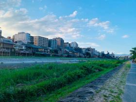 20260717walking6.jpg