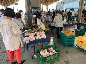 20260720asaichi4.jpg