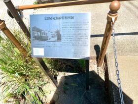 20260806walking12.jpg