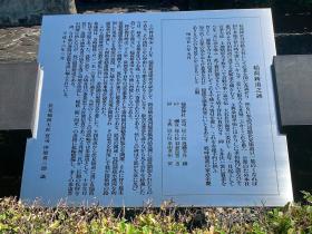 20260806walking9.jpg