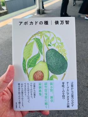 20260811avocado_seed.jpg