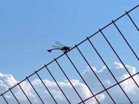 20260820walking2.jpg