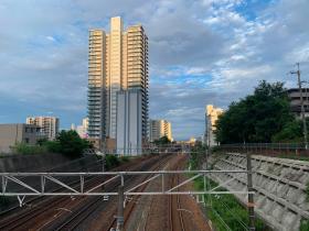 20260903walking4.jpg