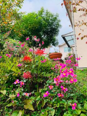 20260927mygarden2.jpg