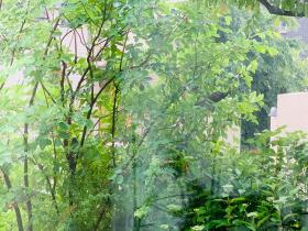 20270528juneberry2.jpg