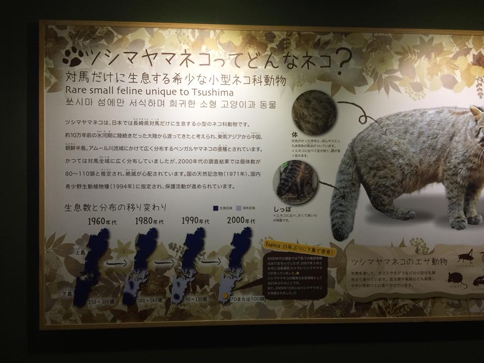 ツシマヤマネコと農業(その1) » 「環境社会学 / 地域社会論