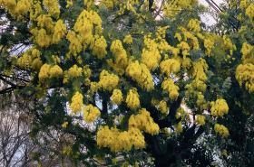 20260224spring10.jpg