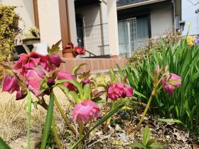 20260224spring2.jpg