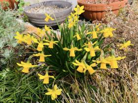 20260224spring5.jpg
