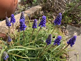 20260224spring7.jpg