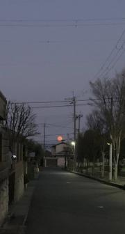 20260403pinkmoon1.jpg