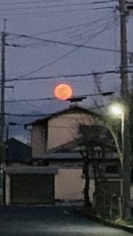20260403pinkmoon2.jpg