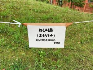 20260620nejibana.jpg