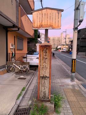20260801walking6.jpg