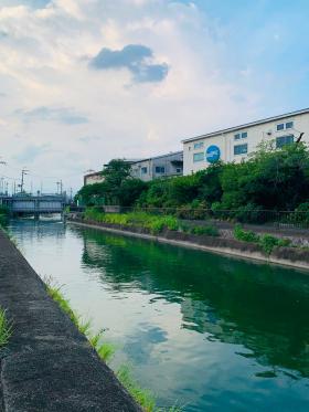20260804walking4.jpg